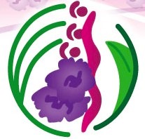 石排灣婦女協會